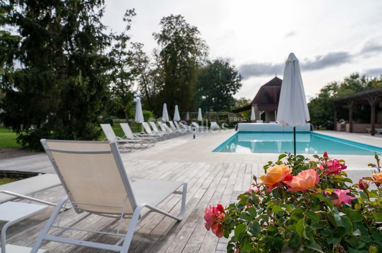Piscine extérieure entourée de transats et parasols, avec des fleurs au premier plan et des arbres en arrière-plan.