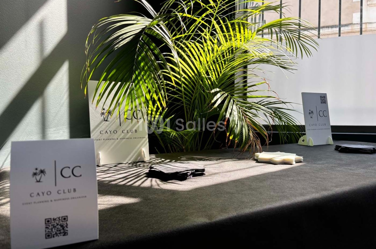 Table avec des brochures, cartes de visite et QR codes, éclairée par la lumière naturelle, près d'une plante verte.