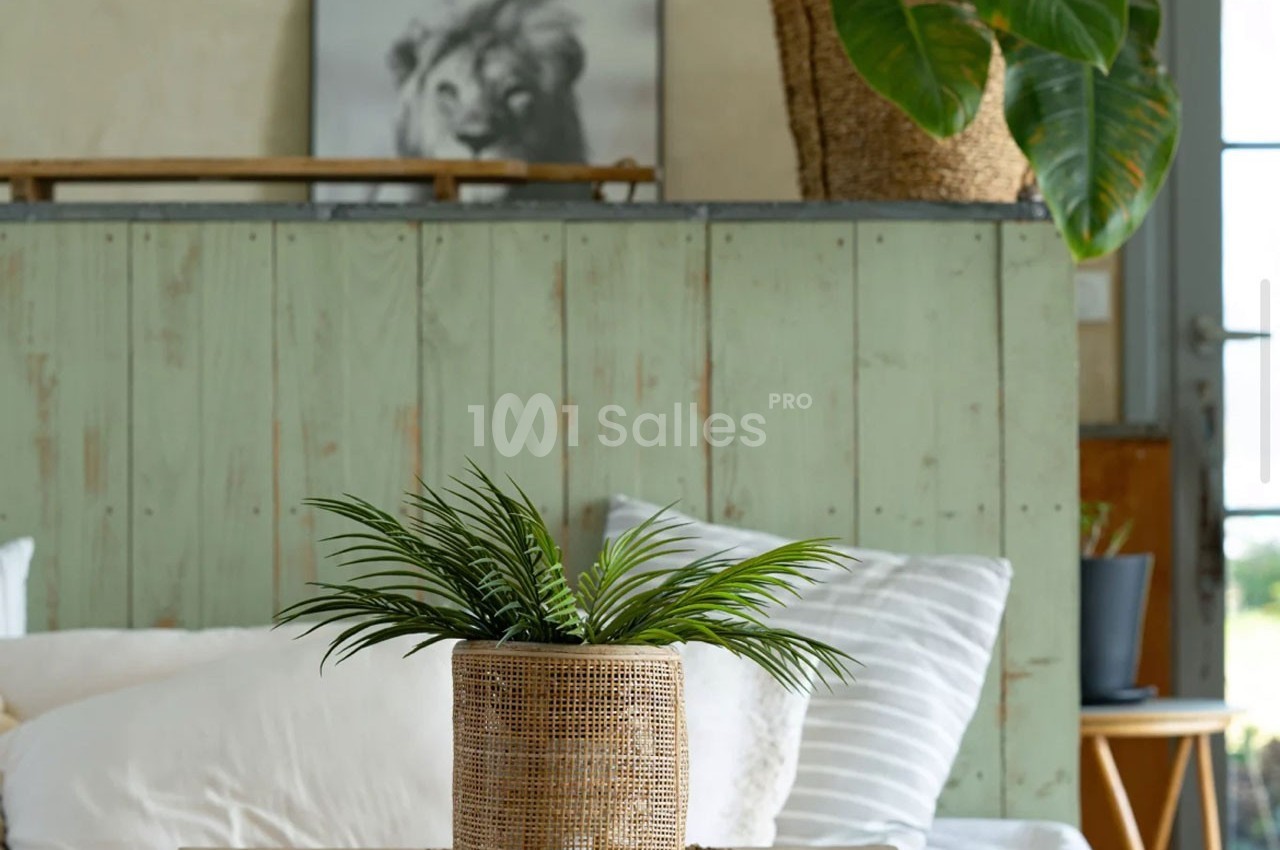 Plante verte dans un pot en osier posé sur une table en bois, devant un lit et une cloison en bois peint vert.