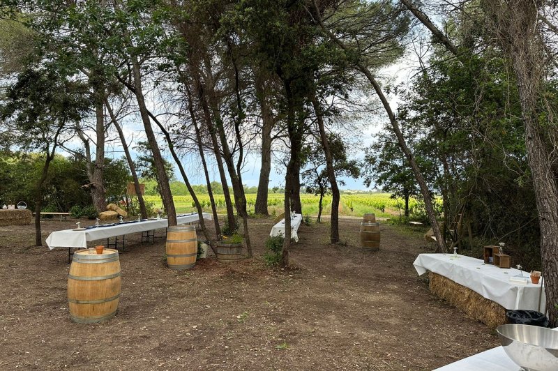 La Clairière d'Arluc - photo 3