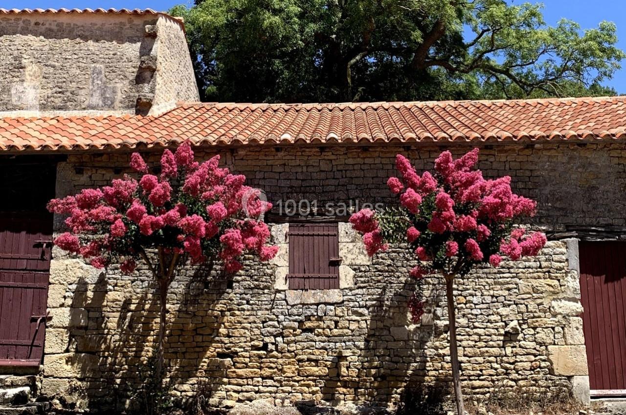Deux arbres à fleurs roses encadrent une façade en pierre avec des volets et une toiture en tuiles rouges.