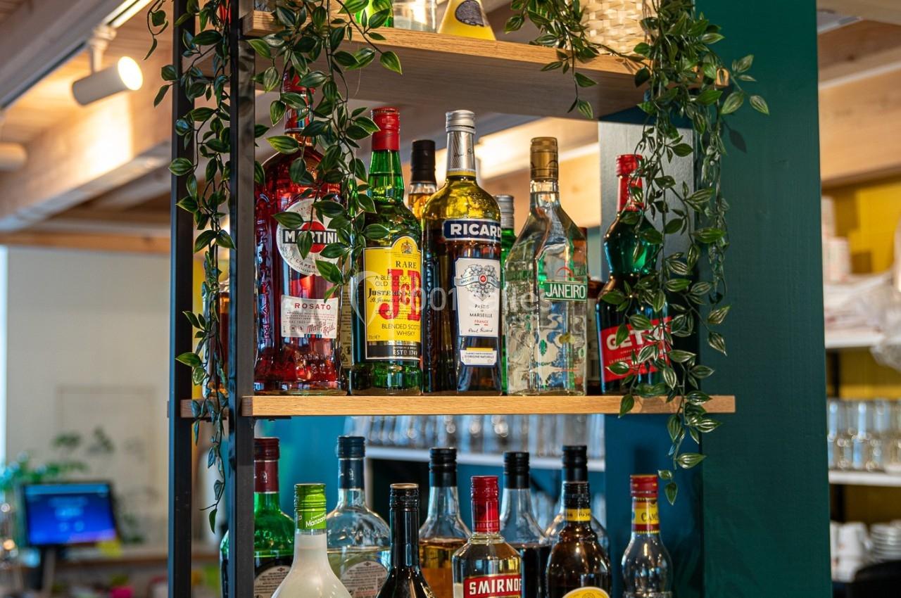 Étagères en bois garnies de bouteilles d'alcool variées, décorées de plantes suspendues dans un bar lumineux.