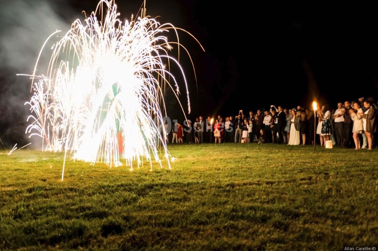 Groupe de personnes observant un feu d'artifice illuminant une pelouse en pleine nuit.