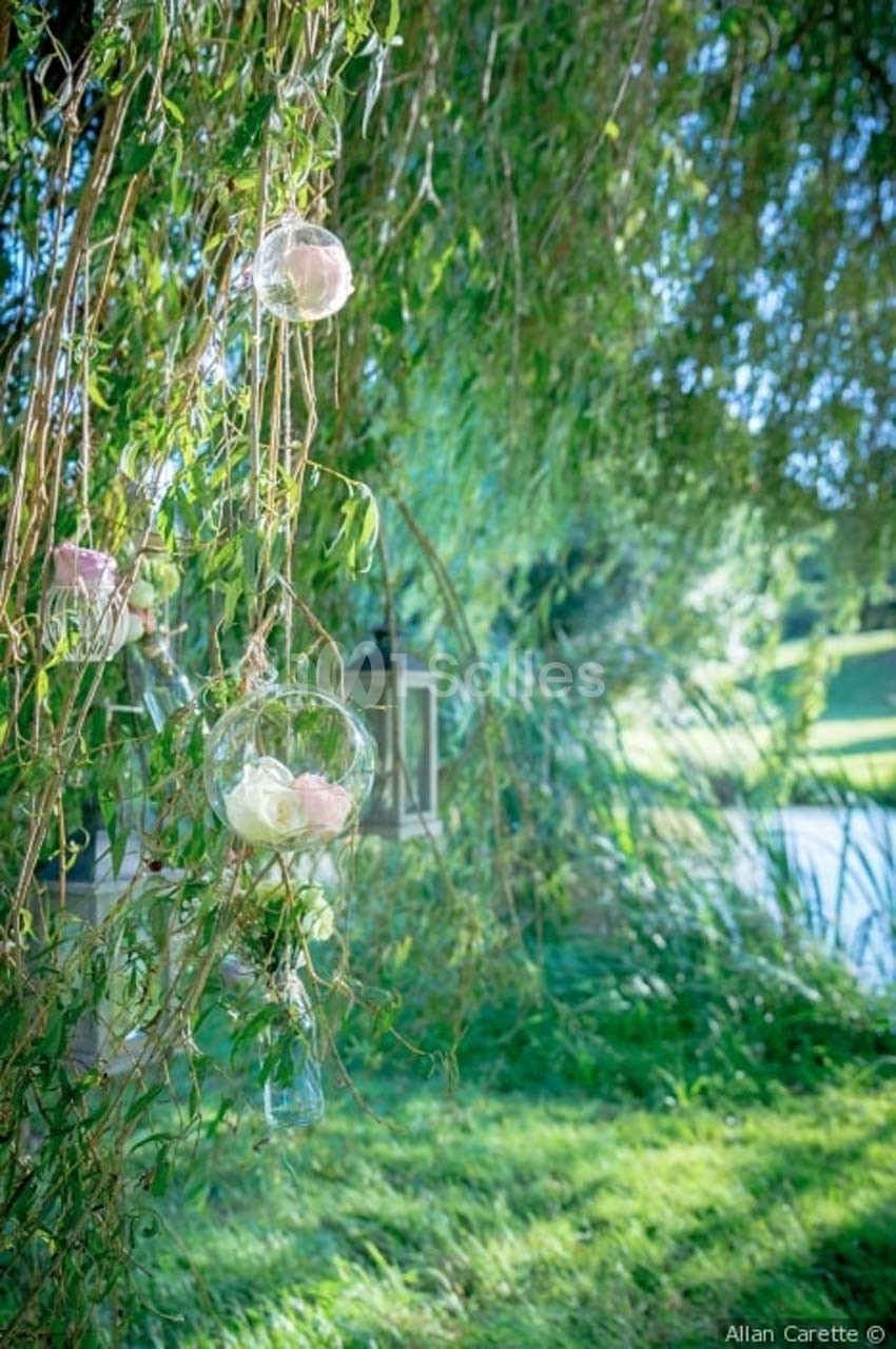 Des fleurs roses et blanches suspendues dans des globes en verre, accrochés à un saule près d'un étang.