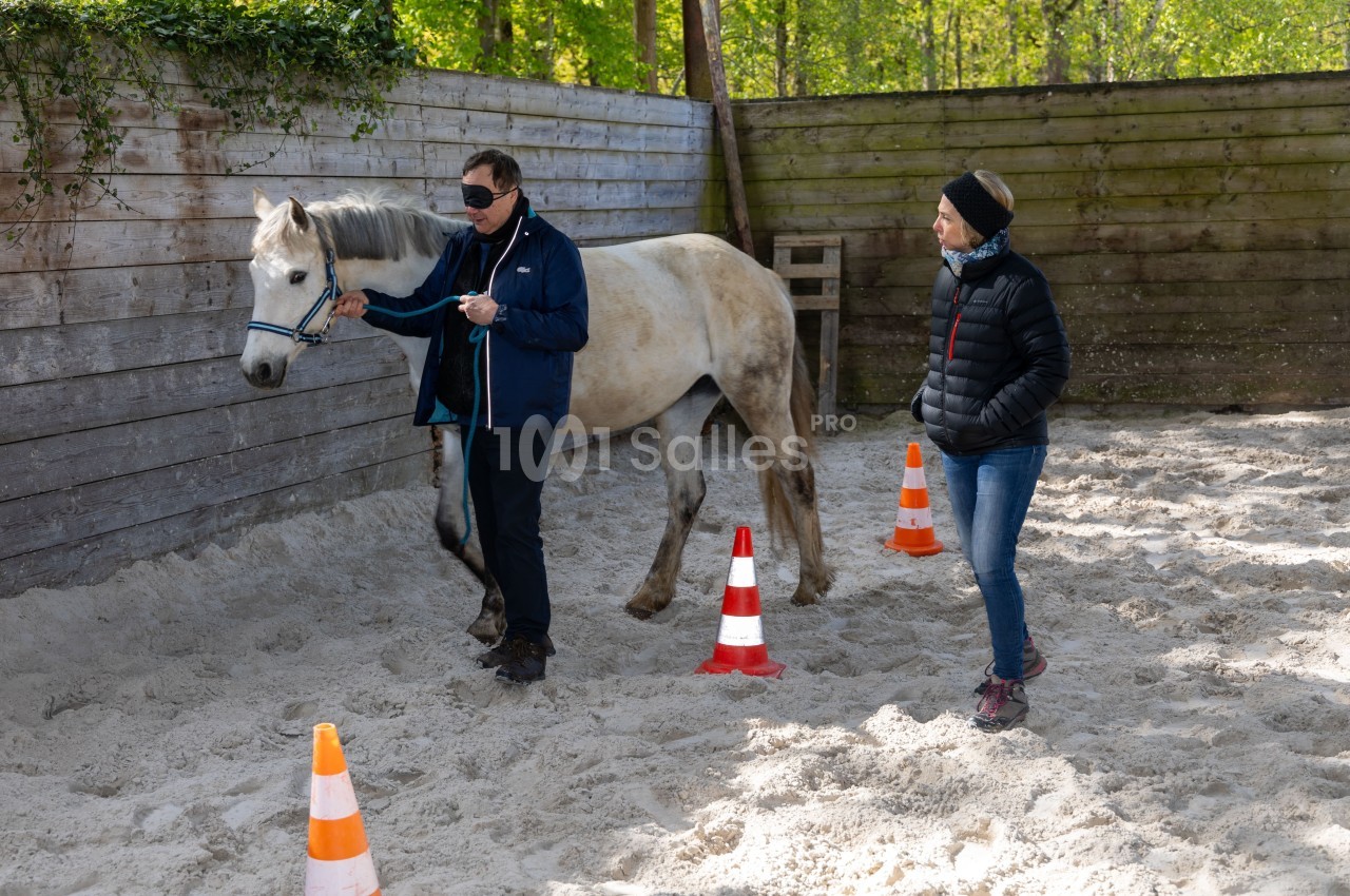 Un homme guide un cheval tenu en longe dans un enclos sablonneux, accompagné d'une femme observant la scène.