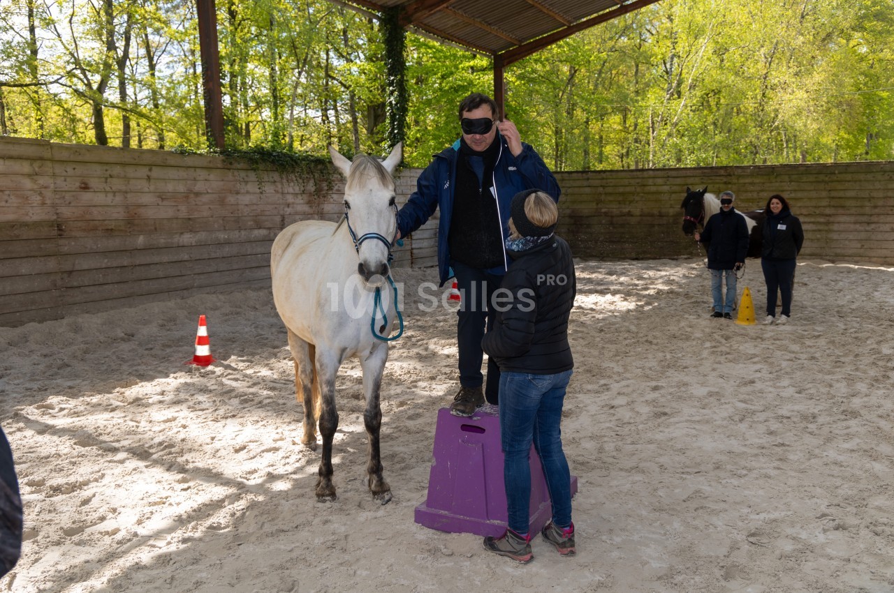 Un homme, les yeux bandés, touche un cheval blanc dans un manège, accompagné par une femme et observé par d'autres personnes.