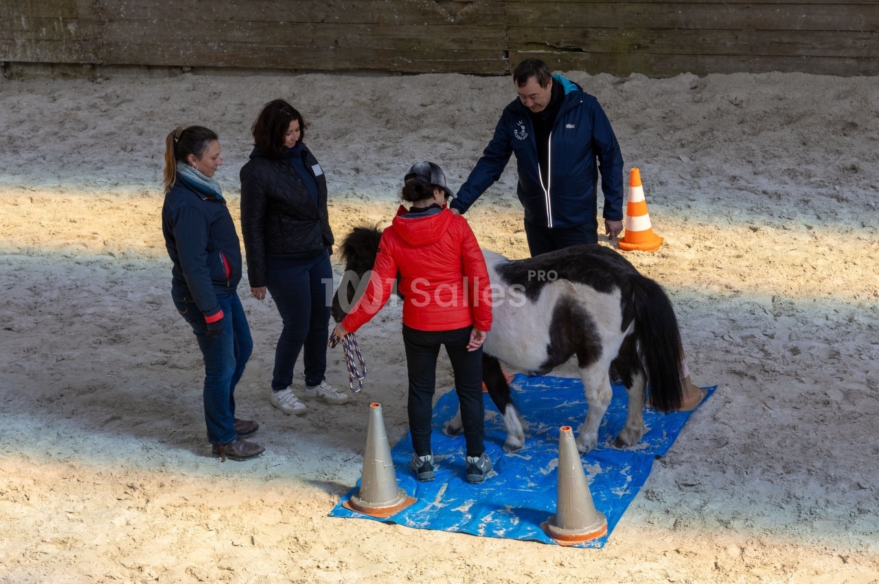 Un poney noir et blanc guidé par une femme sur un tapis bleu, entouré de trois personnes dans un manège.