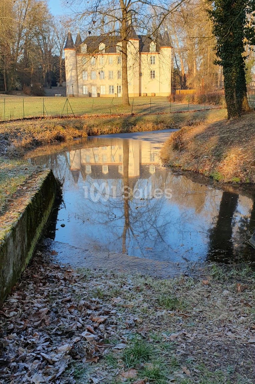 Reflet d'un château blanc entouré d'arbres dans un petit cours d'eau par une journée ensoleillée d'hiver.