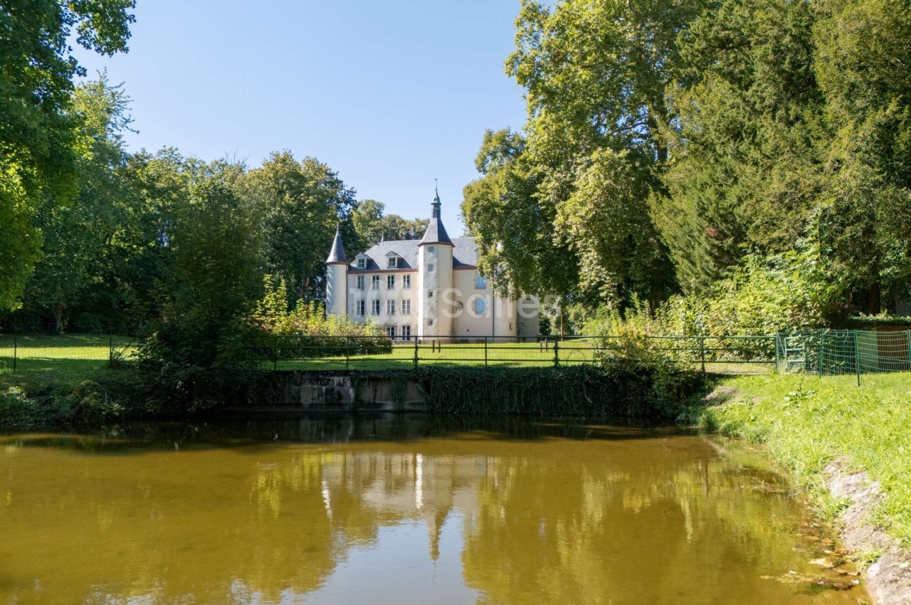 Château entouré d'arbres, reflété dans un étang calme sous un ciel bleu clair.
