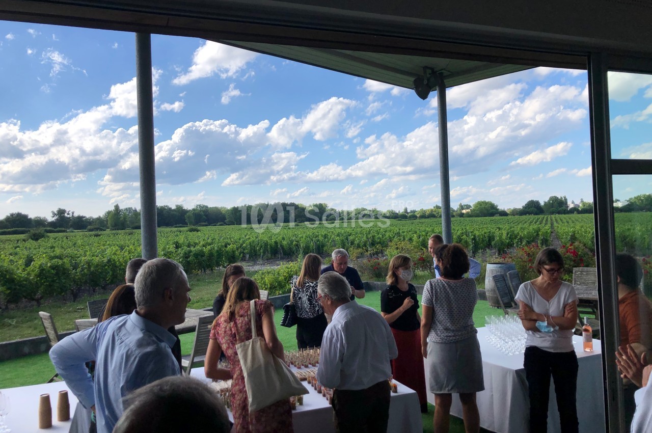 Groupe de personnes rassemblées sur une terrasse avec vue sur des vignes et un ciel partiellement nuageux.