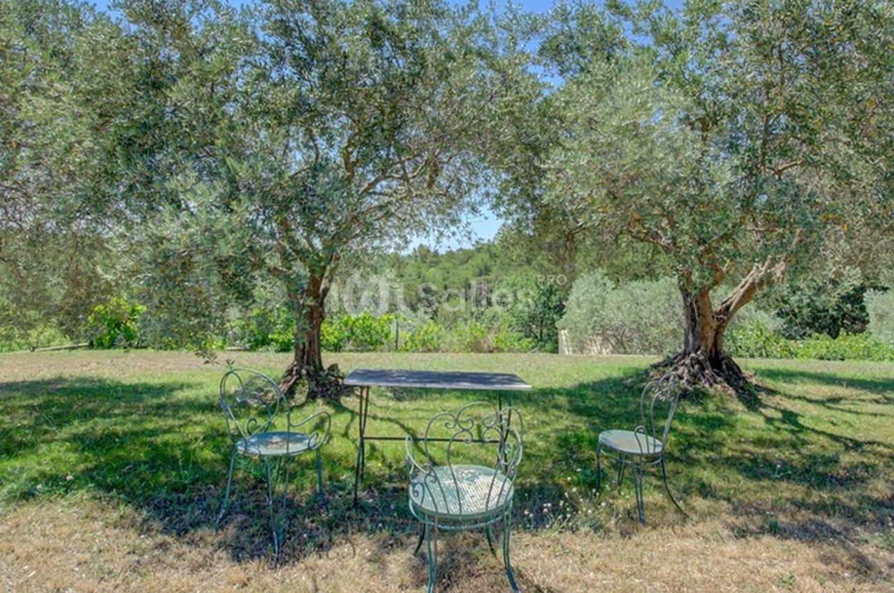 Domaine de Peyremane  - galerie - photo 15