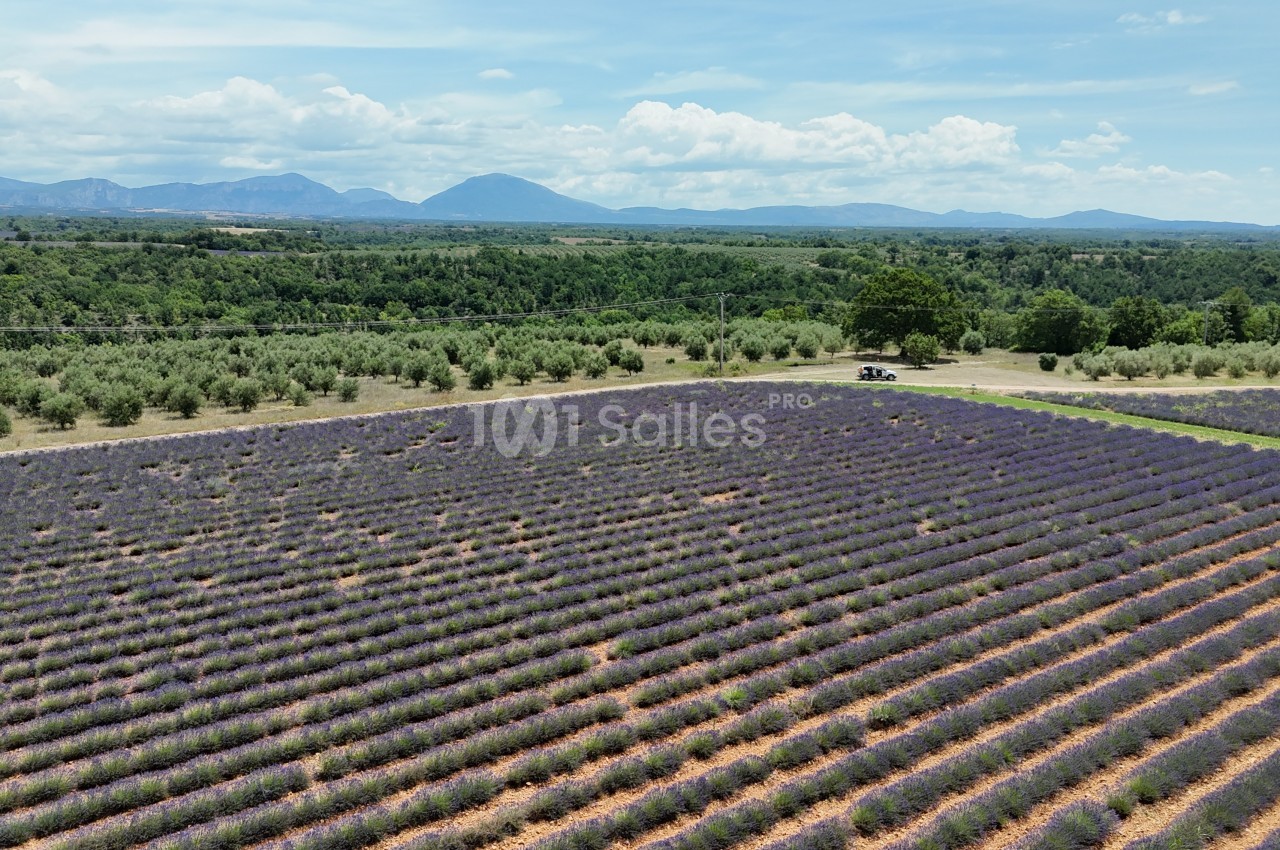 Domaine de Peyremane  - galerie - photo 43