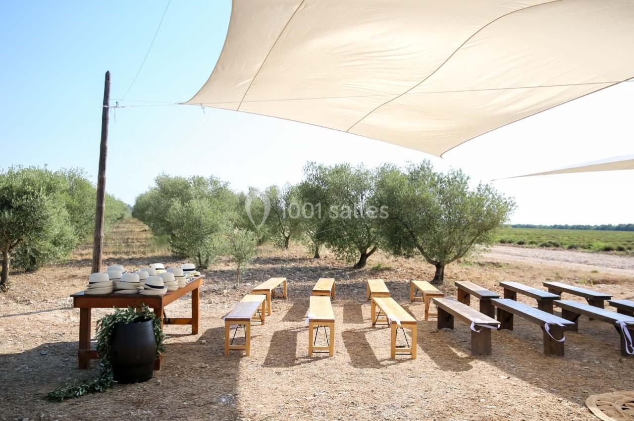 Domaine de Peyremane  - galerie - photo 7