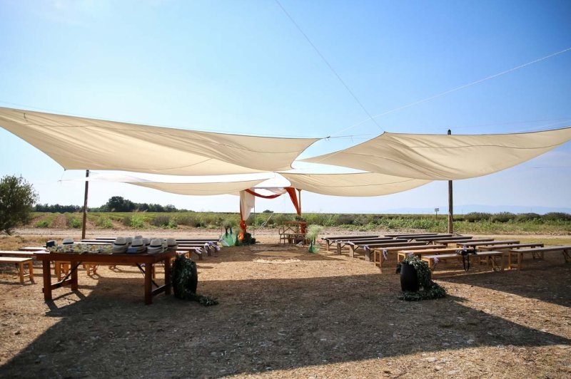Domaine de Peyremane  - photo 5
