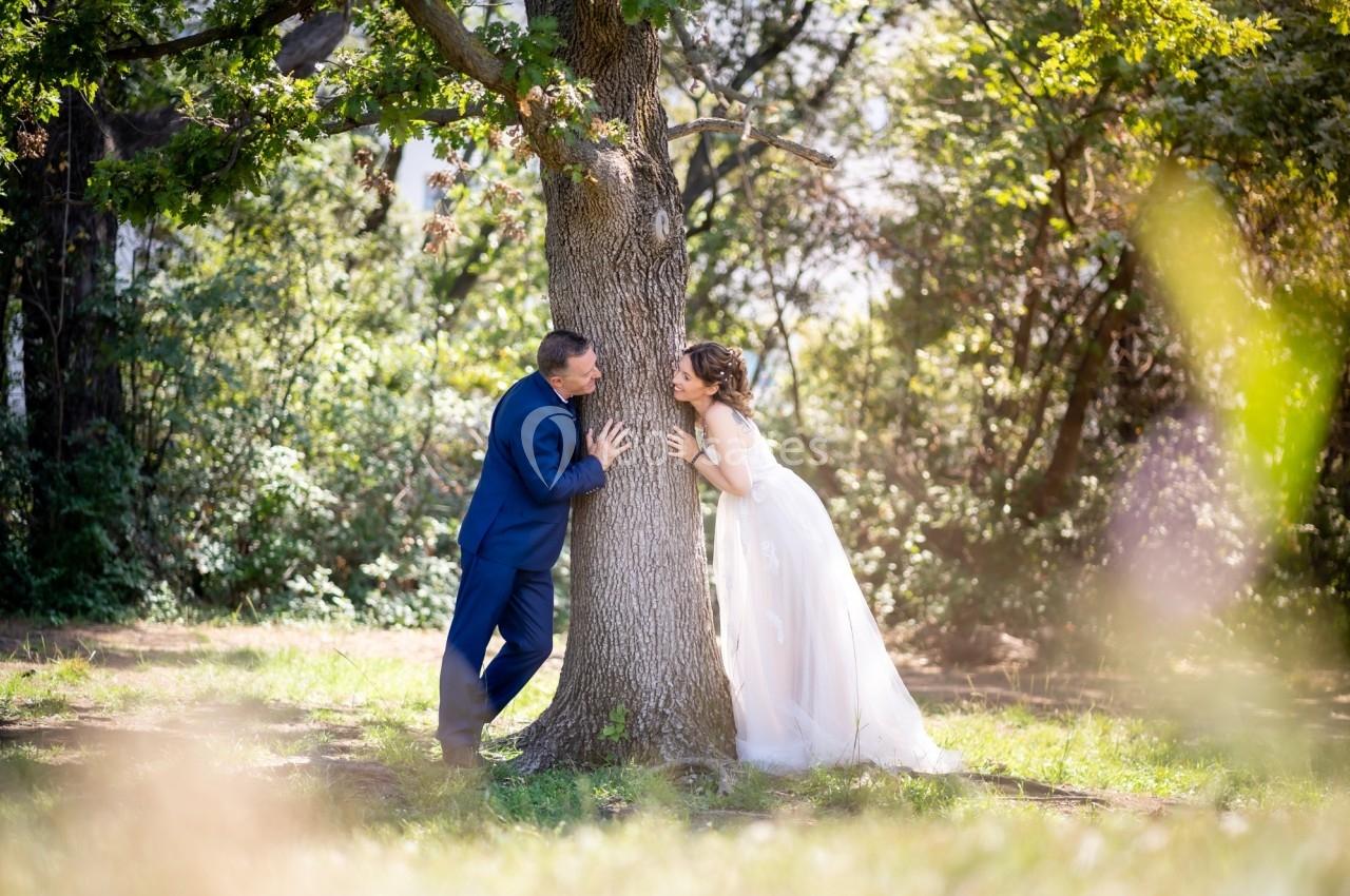 Un couple souriant se tient de part et d'autre d'un arbre dans un parc ensoleillé.