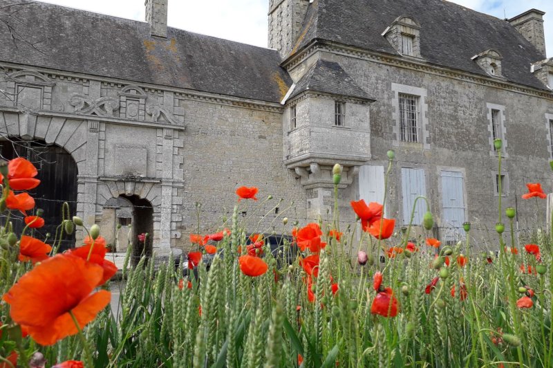 Manoir de Douville - photo 2