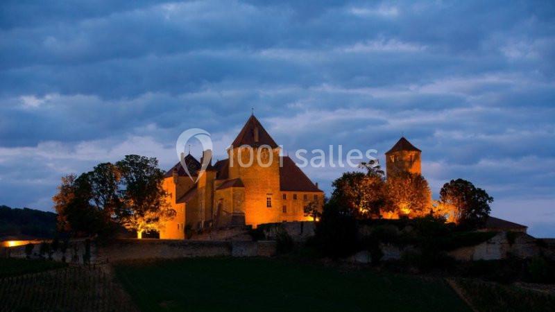 Château De Pierreclos - galerie - photo 22