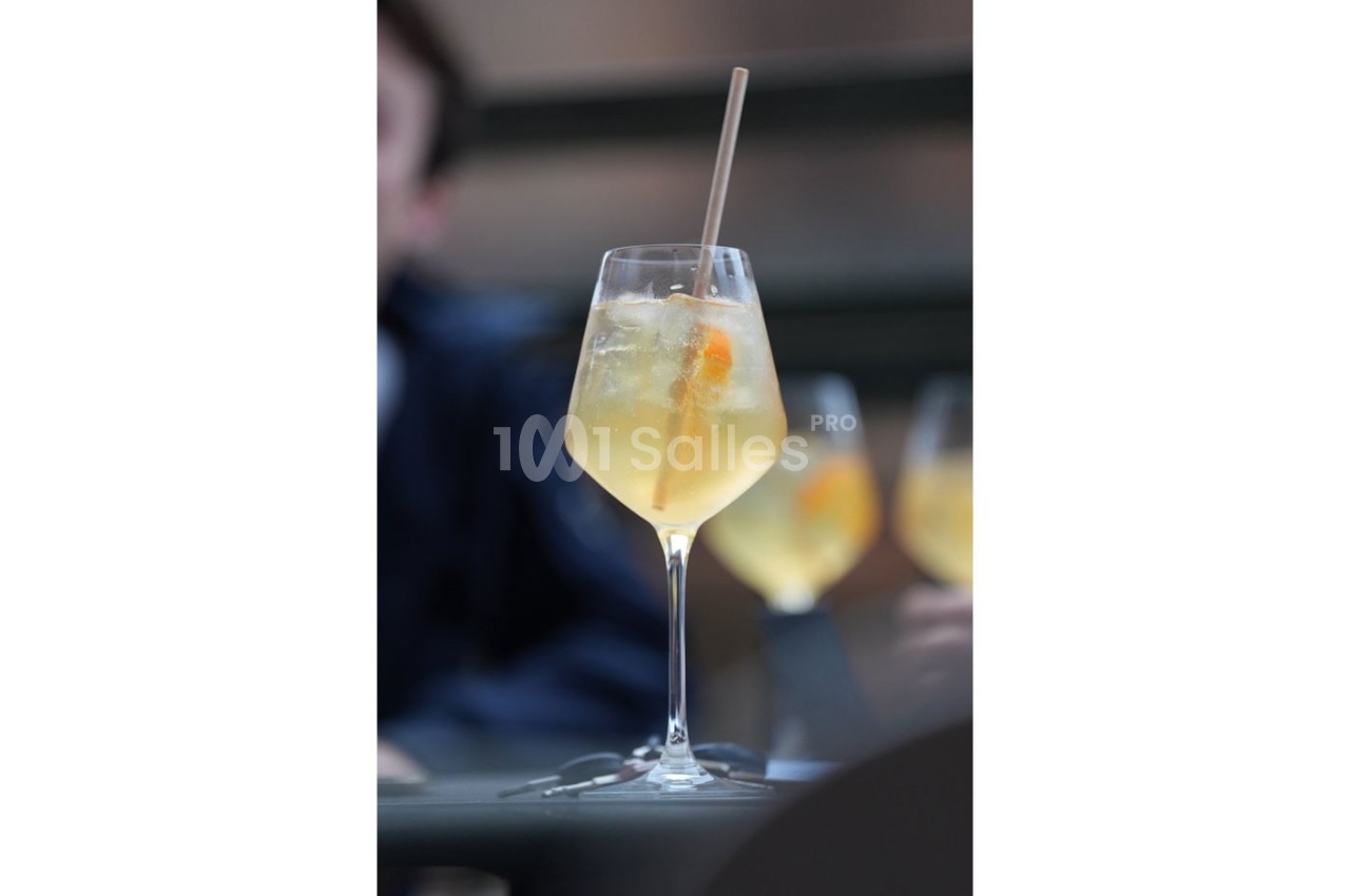 Térèse Toulouse - galerie - photo 10
