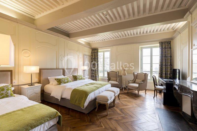 Château De Cesarges - galerie - photo 19