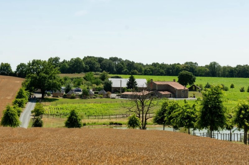 Domaine du Bois Menias - photo 2