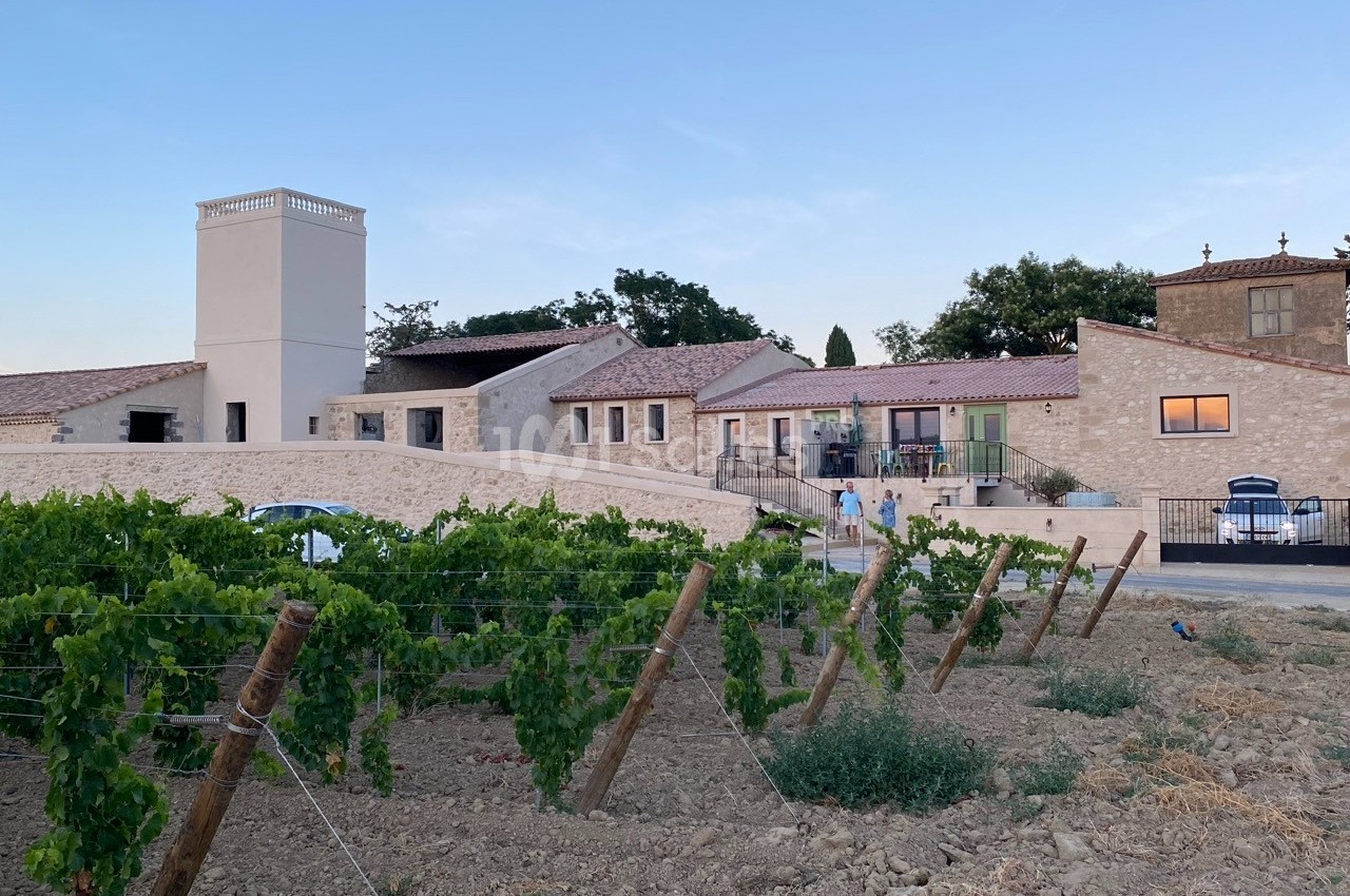 Bâtiments en pierre entourés de vignes sous un ciel dégagé en fin de journée.