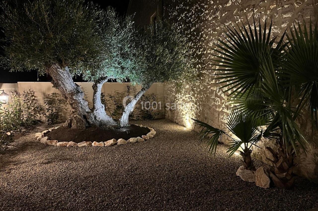 Cour éclairée de nuit avec un olivier central entouré de pierres, un mur en pierre et des plantes en arrière-plan.