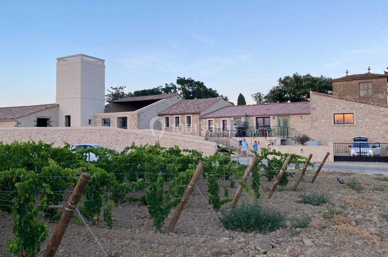 Bâtiments en pierre claire entourés de vignes, sous un ciel dégagé en fin de journée.