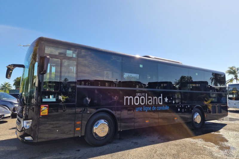Mooland - photo 2