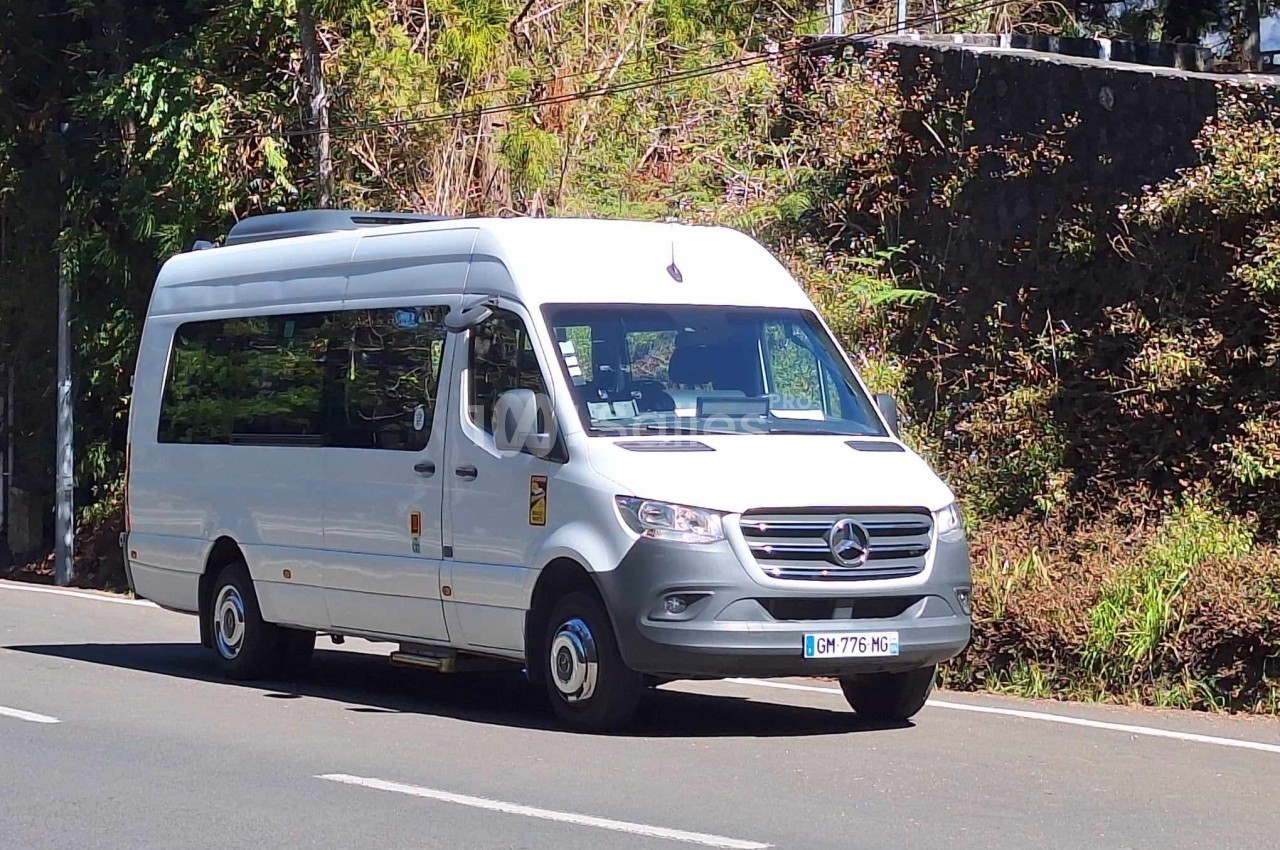 Minibus blanc circulant sur une route bordée de végétation et d'un mur en pierre.
