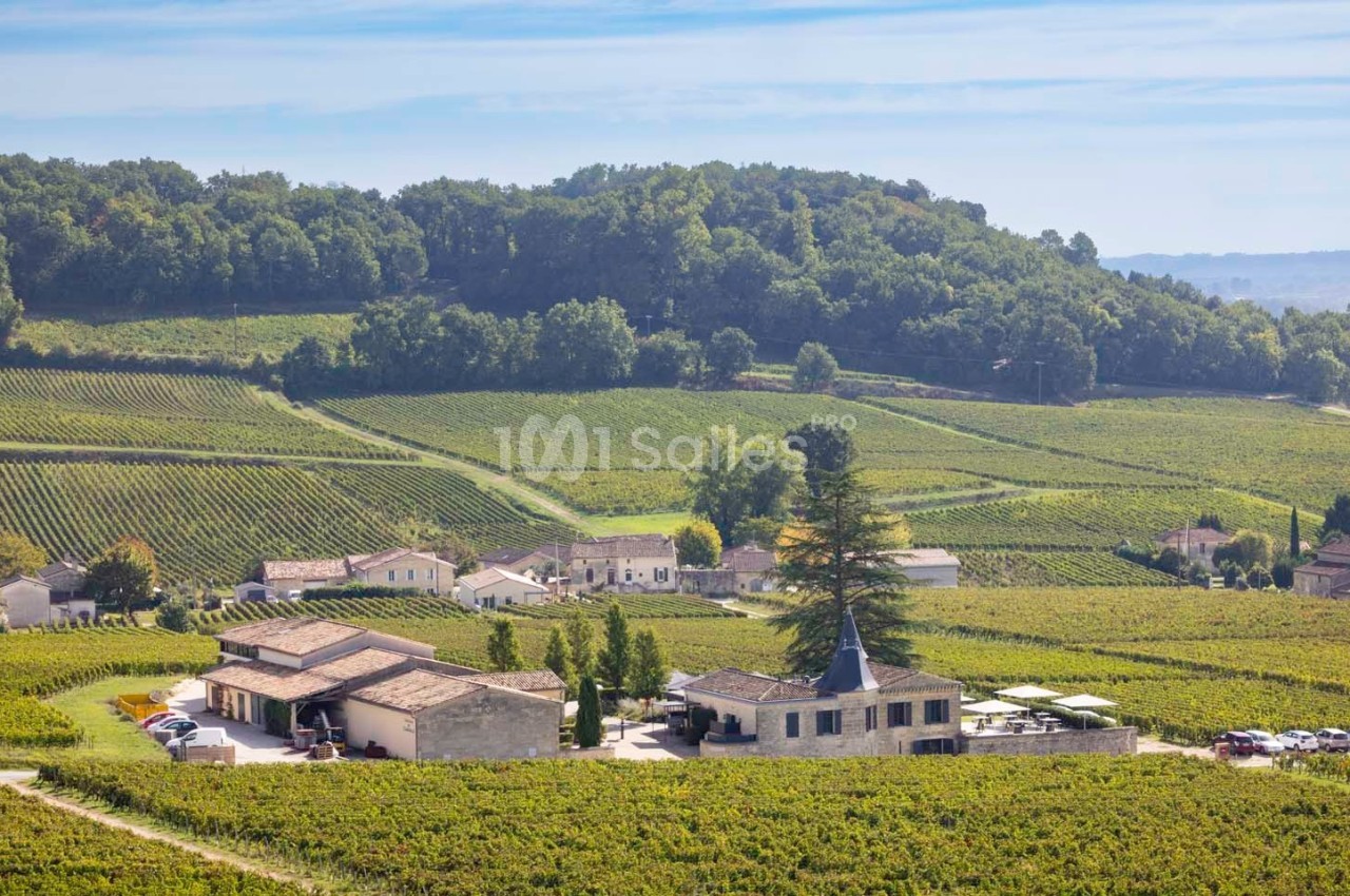 Vue d'un domaine viticole entouré de vignes et de collines verdoyantes sous un ciel dégagé.