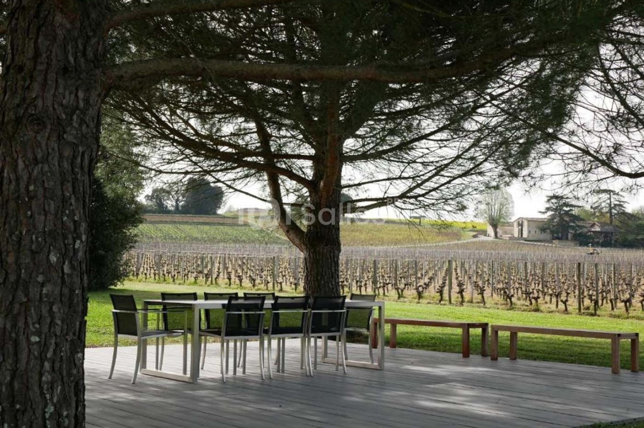 Terrasse en bois avec table et banc sous un arbre, donnant sur des vignes et un paysage rural.