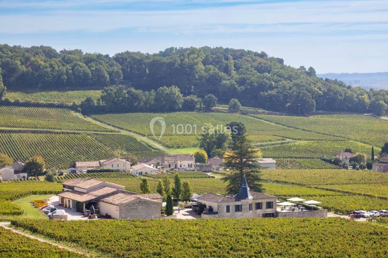 Vue d'un domaine viticole entouré de vignes verdoyantes et de collines boisées sous un ciel clair.