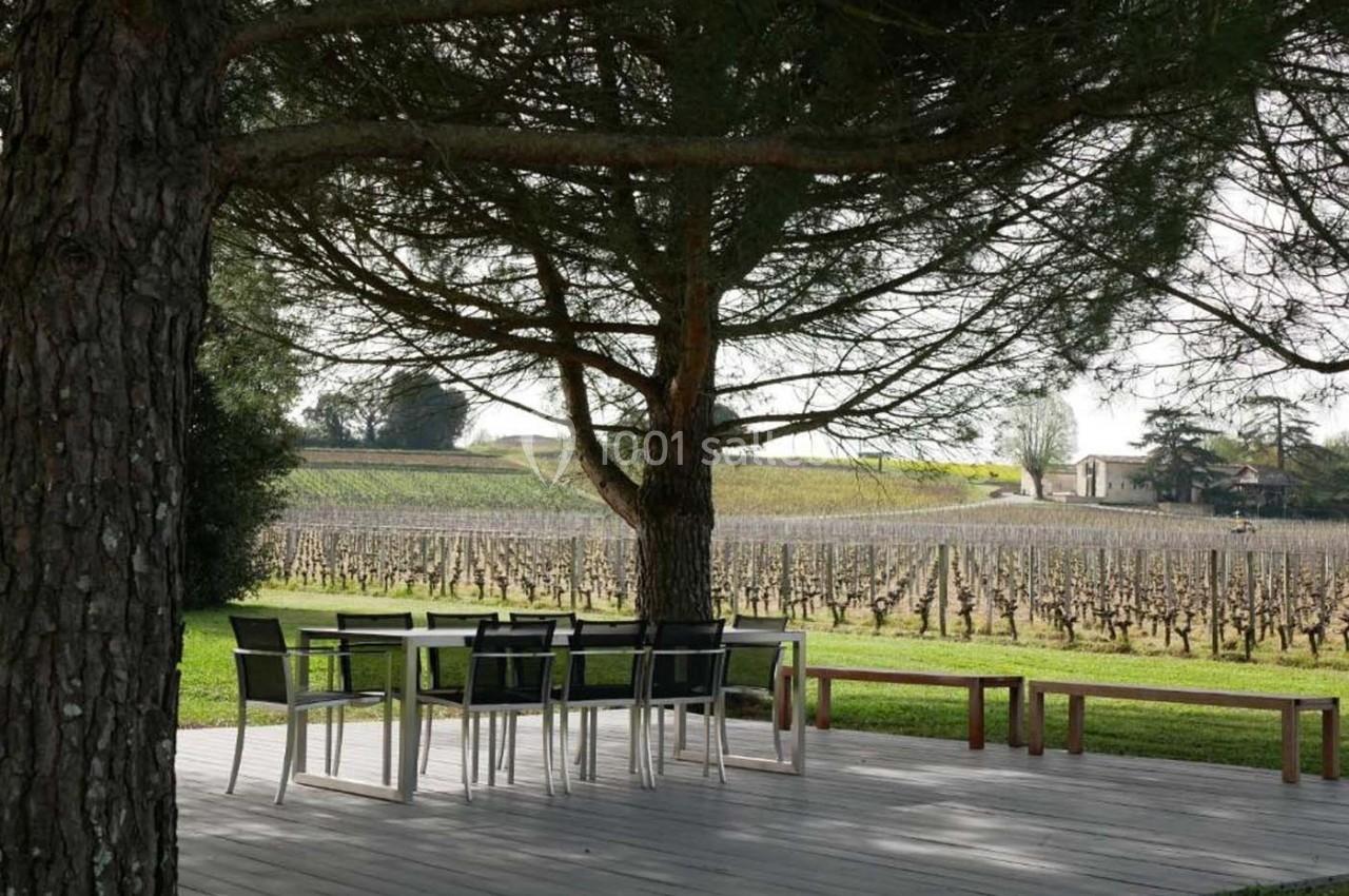 Terrasse en bois avec table et chaises sous un grand arbre, vue sur des vignes et une maison en arrière-plan.