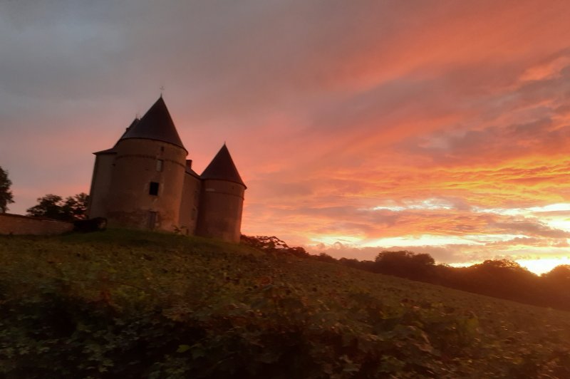 Château de Brie - photo 2