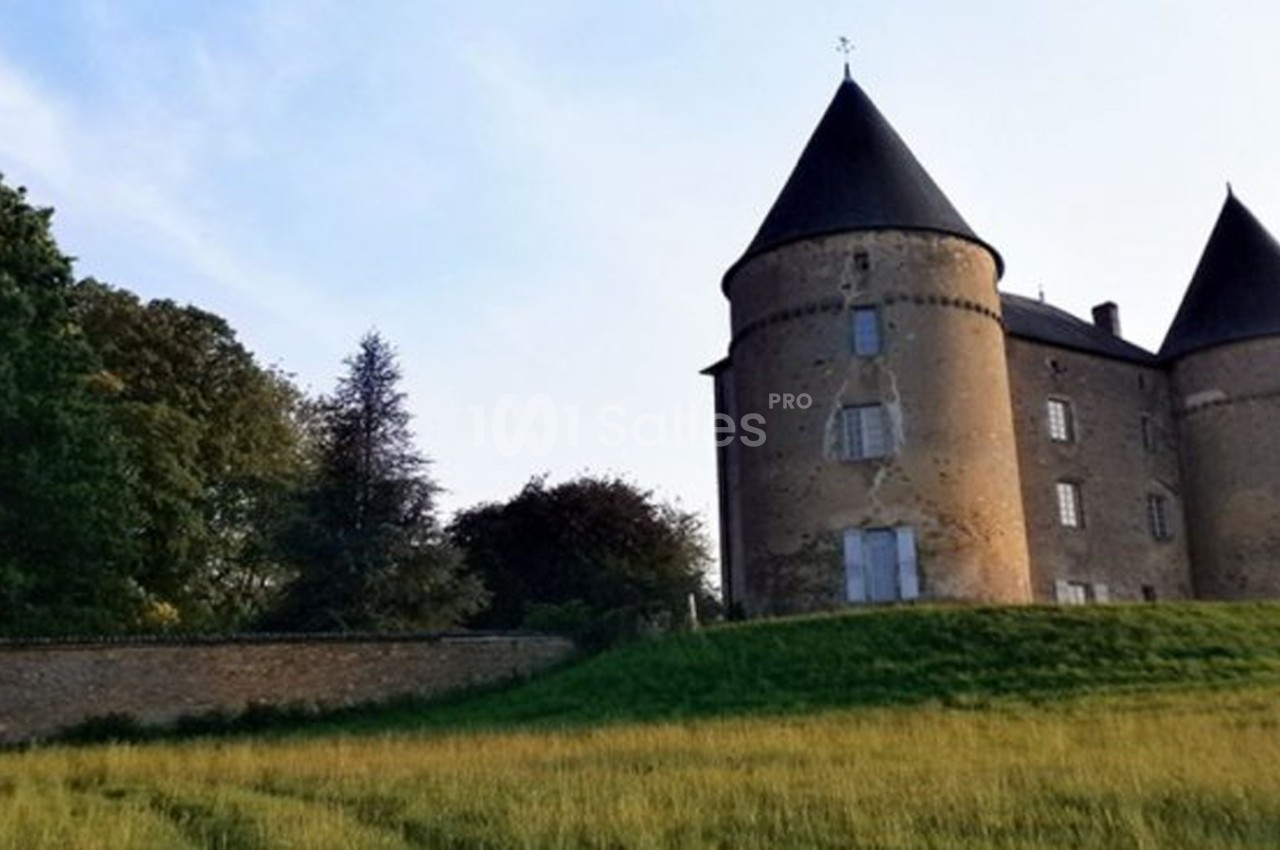 Château en pierre avec deux tours rondes, entouré de verdure et situé sur une colline herbeuse.