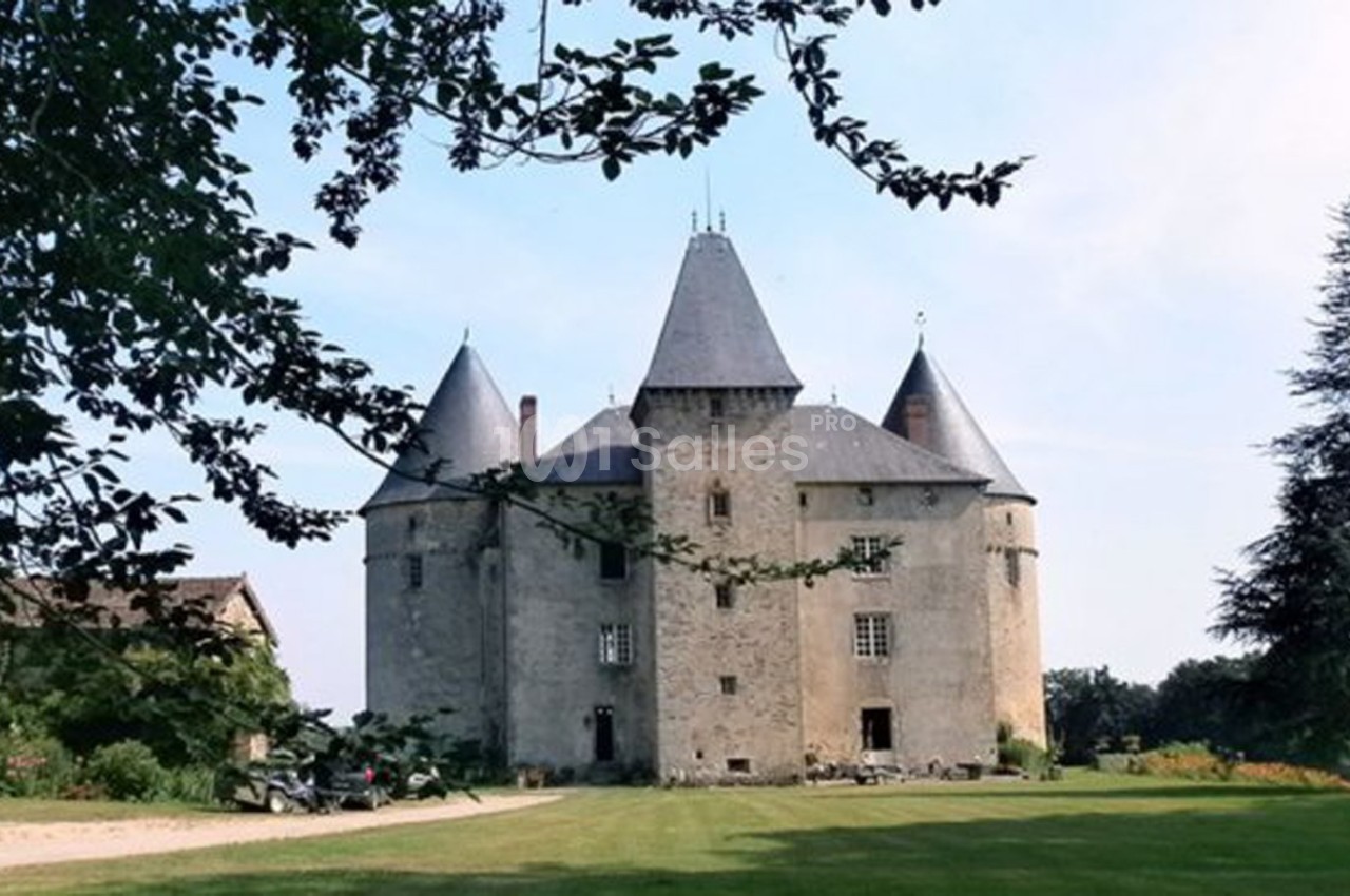 Château en pierre avec plusieurs tours et toit en ardoise, entouré de verdure et d'arbres sous un ciel dégagé.