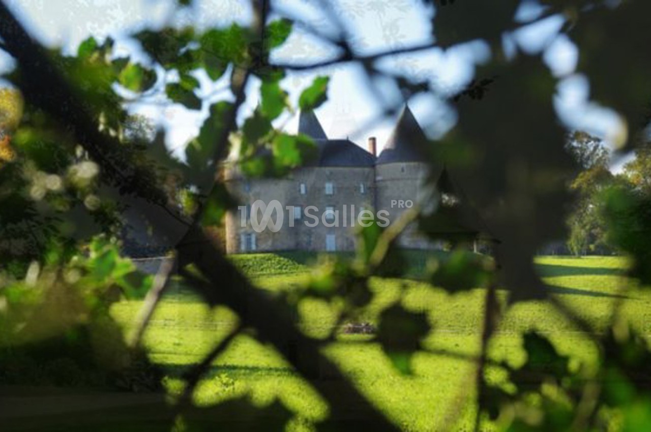 Vue d'un château en pierre entouré de verdure, partiellement encadré par des branches feuillues au premier plan.