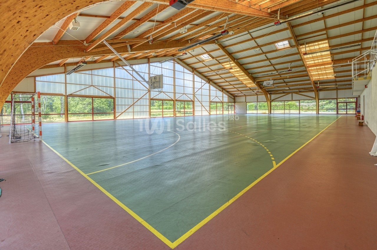 Salle de sport lumineuse avec sol en revêtement synthétique, lignes de terrain tracées et structure en bois apparent.