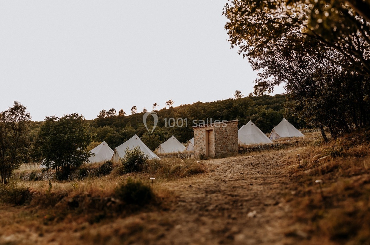 Alignement de tentes blanches dans un paysage naturel avec arbres et chemin de terre au premier plan.