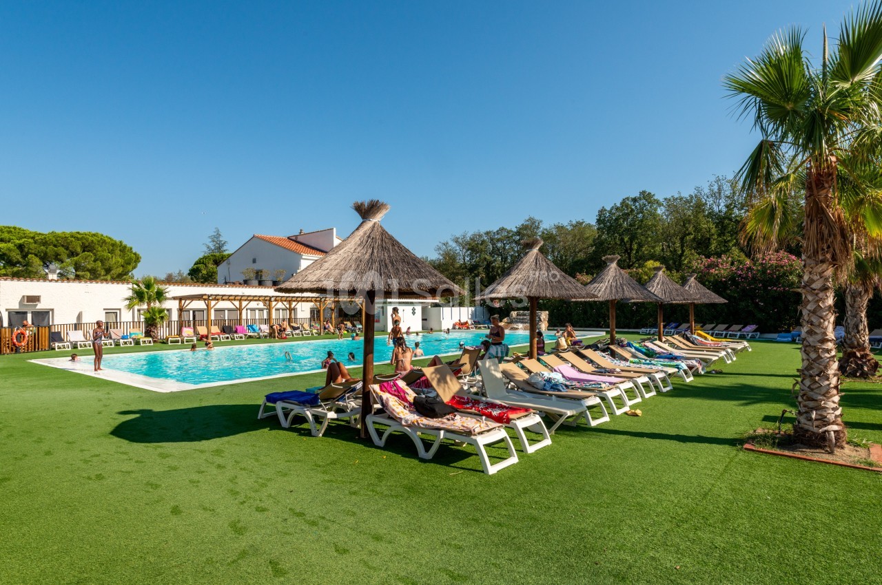 Piscine extérieure entourée de transats avec parasols en chaume, pelouse artificielle et palmiers sous un ciel dégagé.