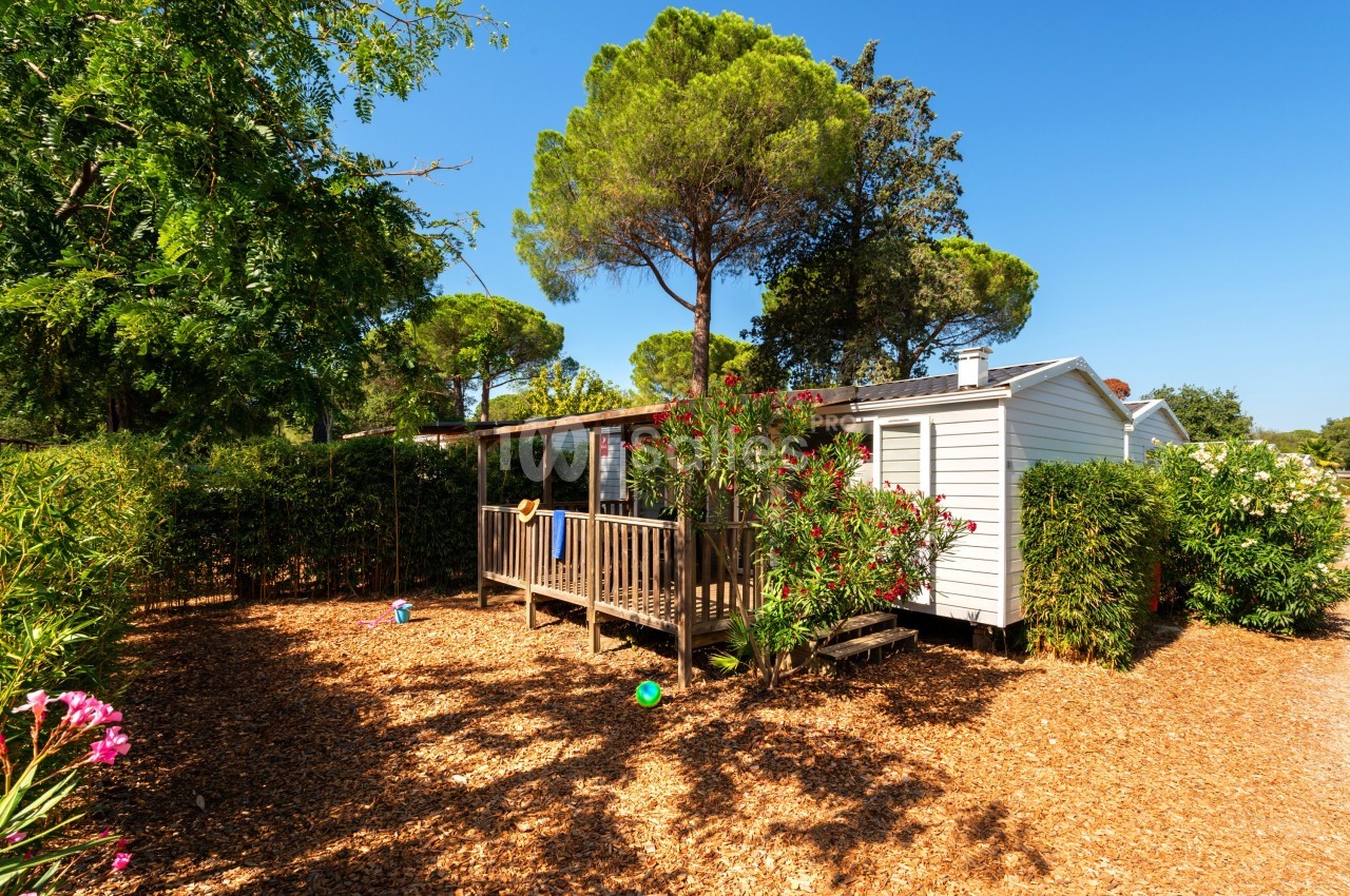 Mobil-home entouré de végétation avec terrasse en bois, situé dans un environnement ensoleillé et arboré.