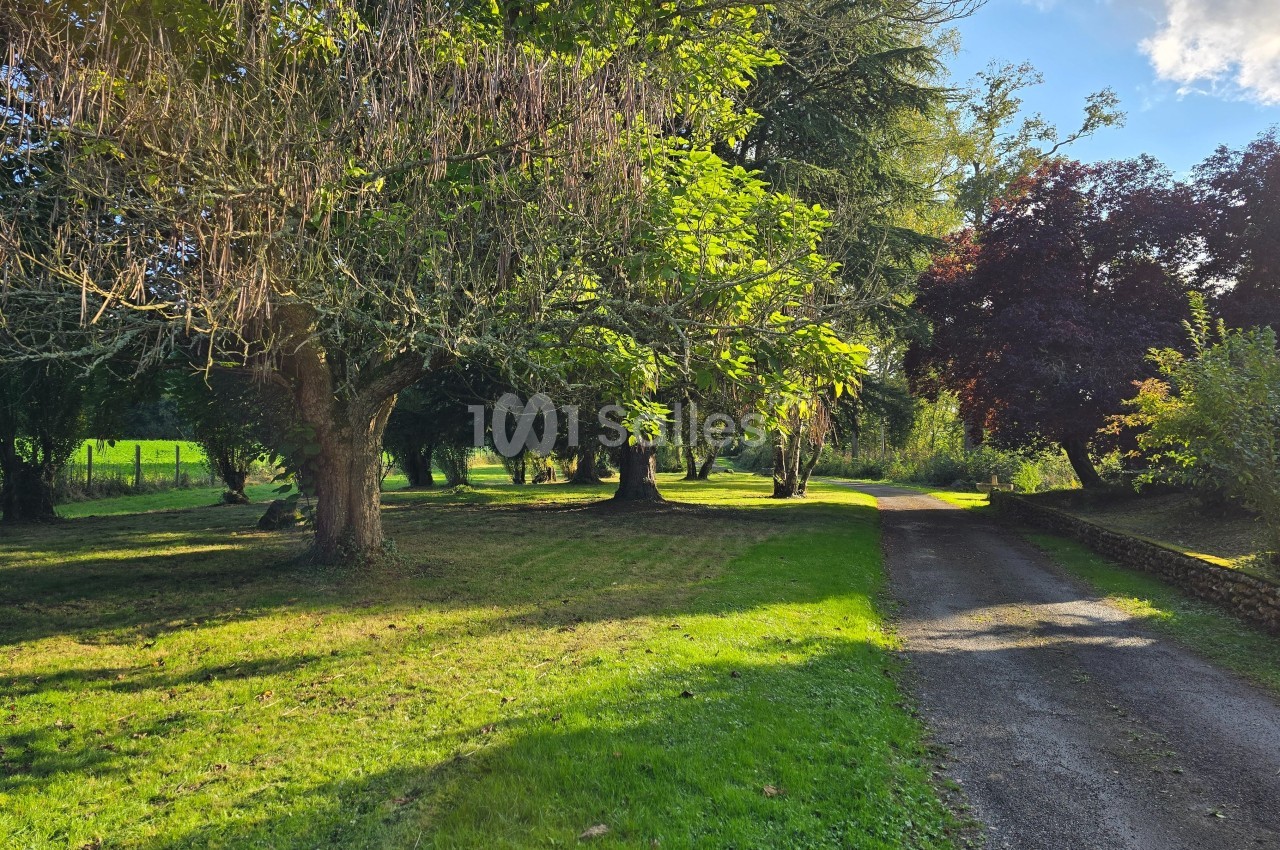 Allée bordée d'arbres dans un jardin verdoyant, éclairée par une lumière naturelle sous un ciel partiellement dégagé.