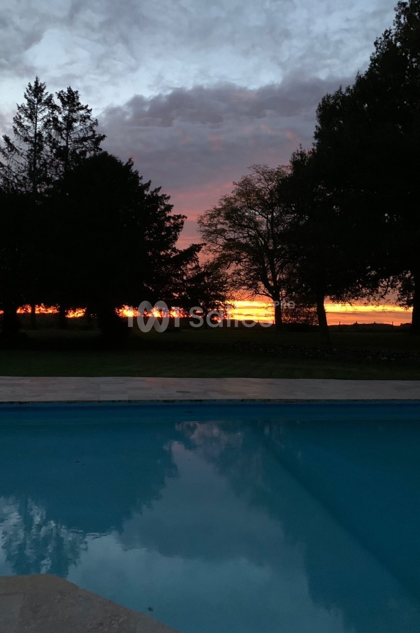 Piscine extérieure reflétant un ciel au coucher du soleil avec des arbres en silhouette à l'arrière-plan.