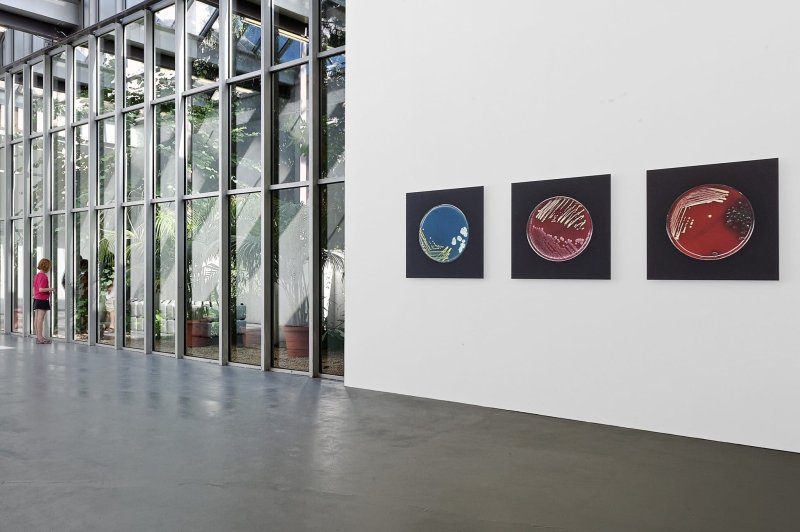 L'institut d'Art Contemporain IAC - photo 3