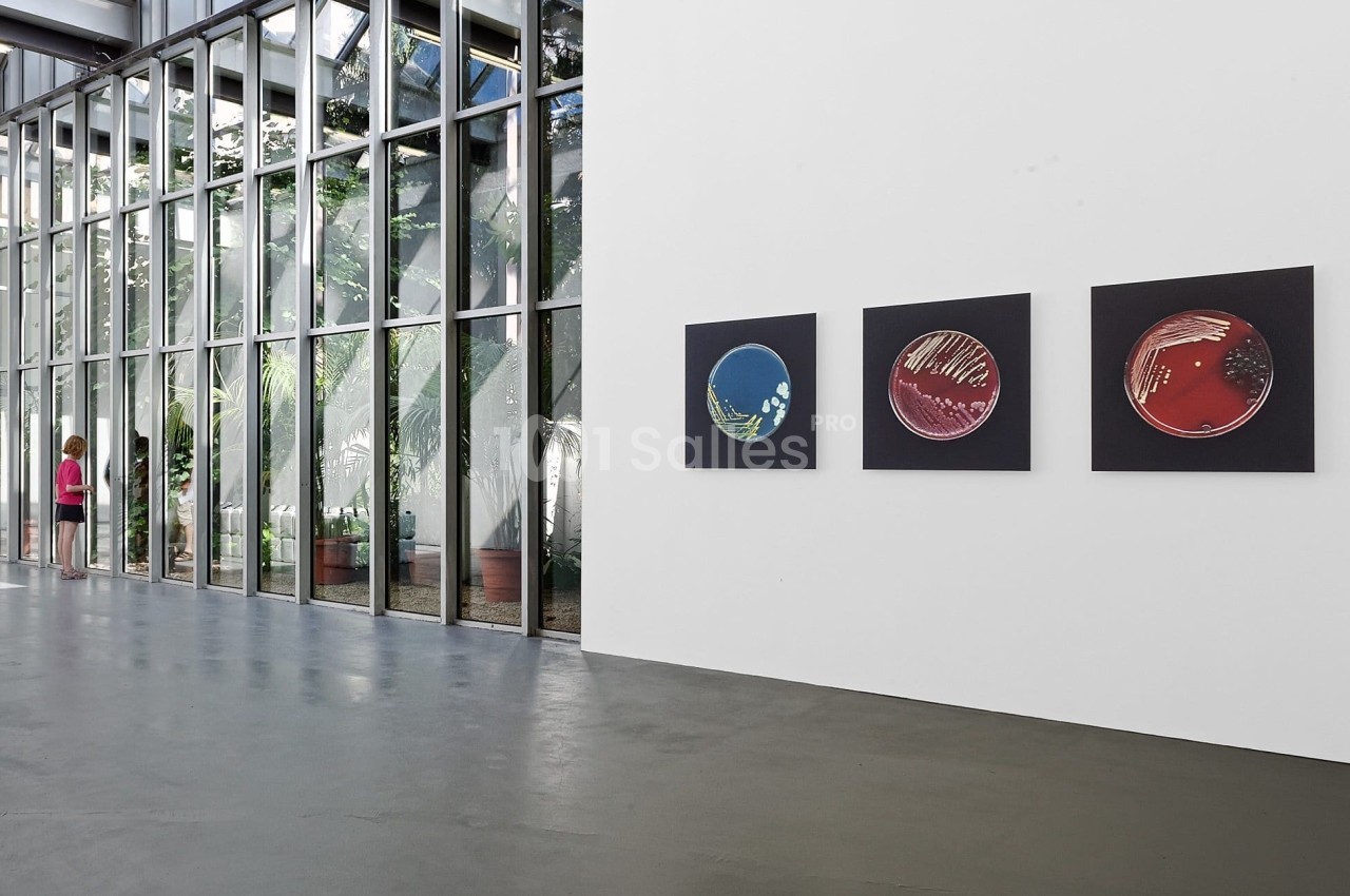 L'institut d'Art Contemporain IAC - galerie - photo 3