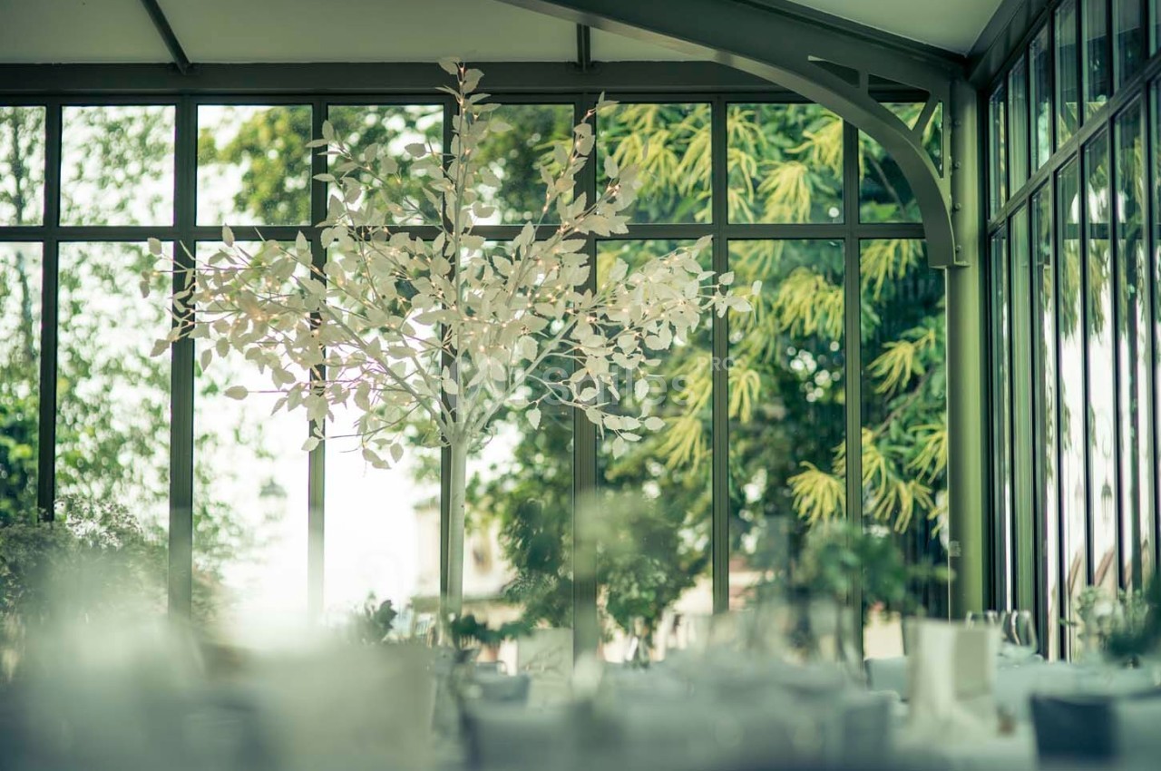 Salle lumineuse avec de grandes baies vitrées, décorée d'un arbre artificiel blanc et entourée de verdure extérieure.
