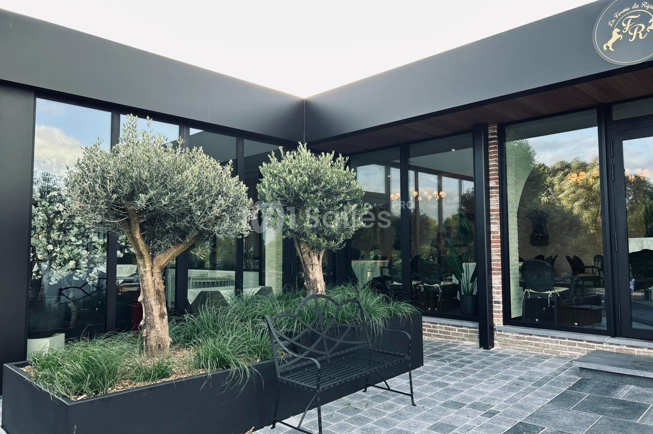 Deux oliviers dans des bacs rectangulaires devant une façade vitrée moderne avec un banc en métal noir.