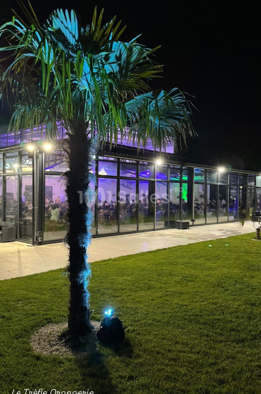 Un palmier éclairé devant une orangerie vitrée illuminée, de nuit, avec des personnes visibles à l'intérieur.