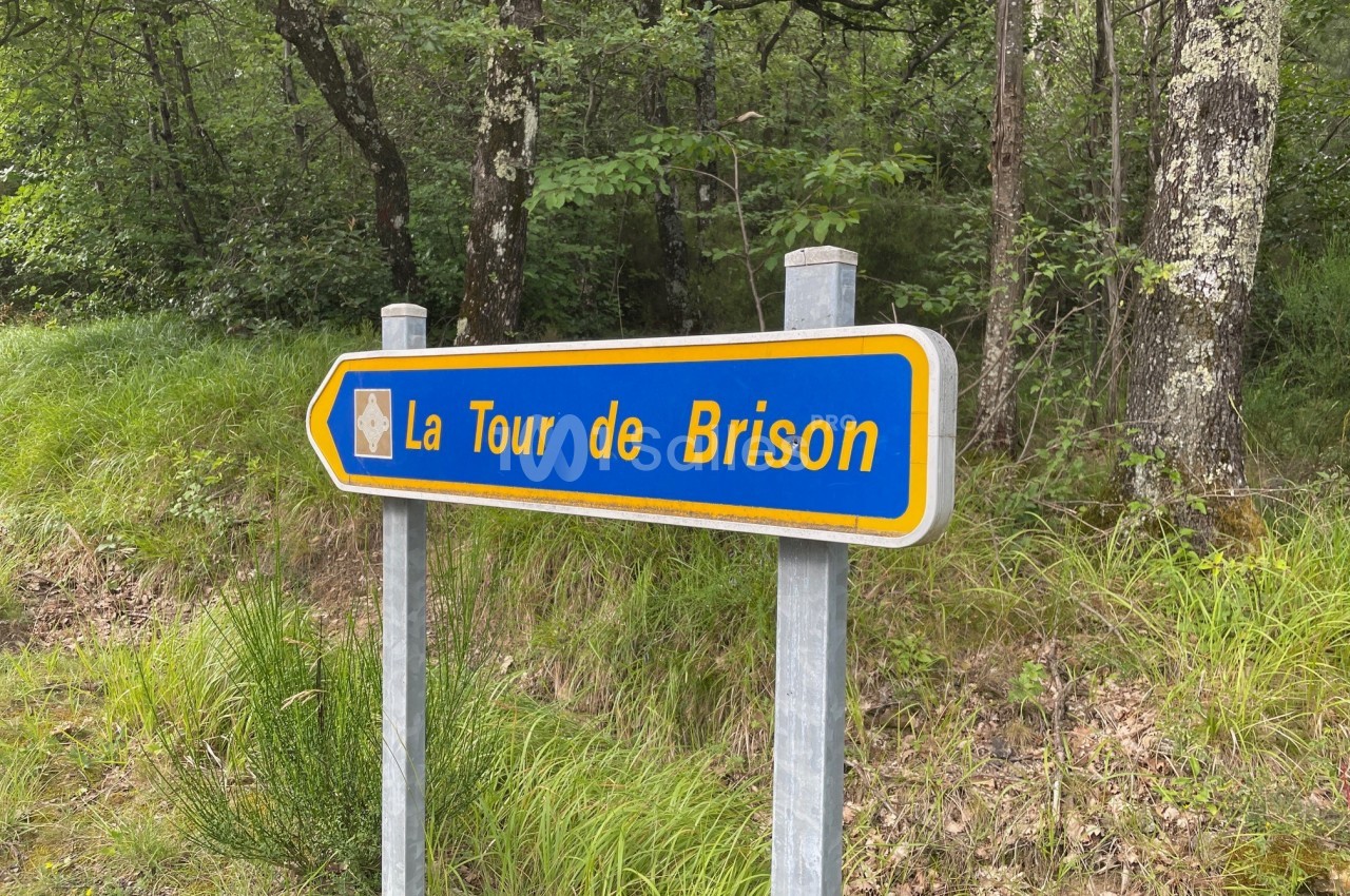 Panneau directionnel bleu indiquant ’La Tour de Brison’, situé en bordure d'une forêt verdoyante.
