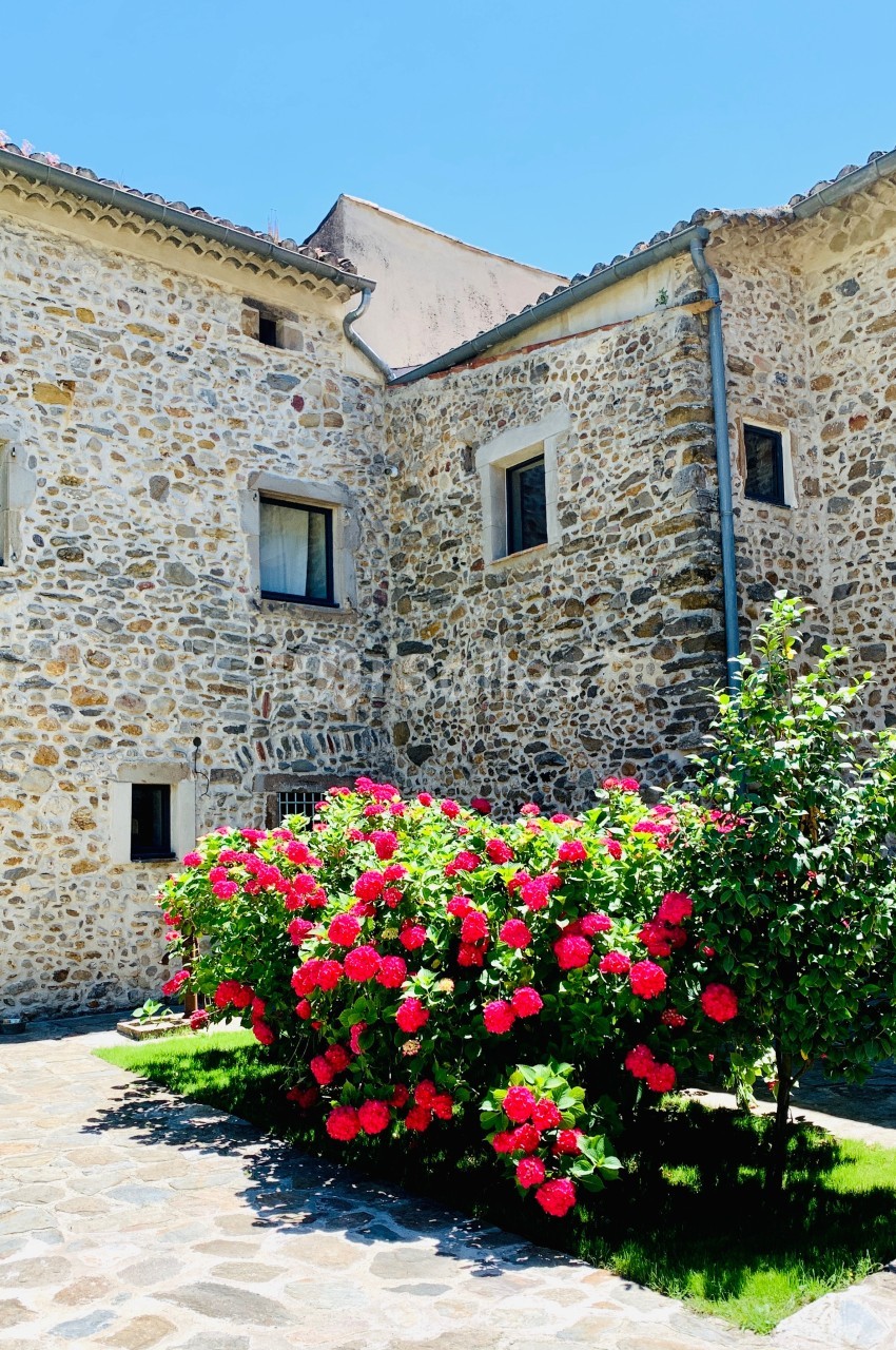 Cour intérieure ensoleillée avec des murs en pierre, des fenêtres et un massif de roses rouges en pleine floraison.